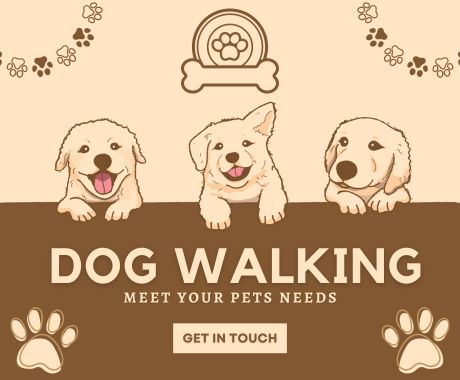 Dog Walking